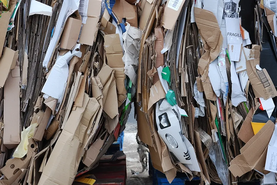 collecte-dechets-dib